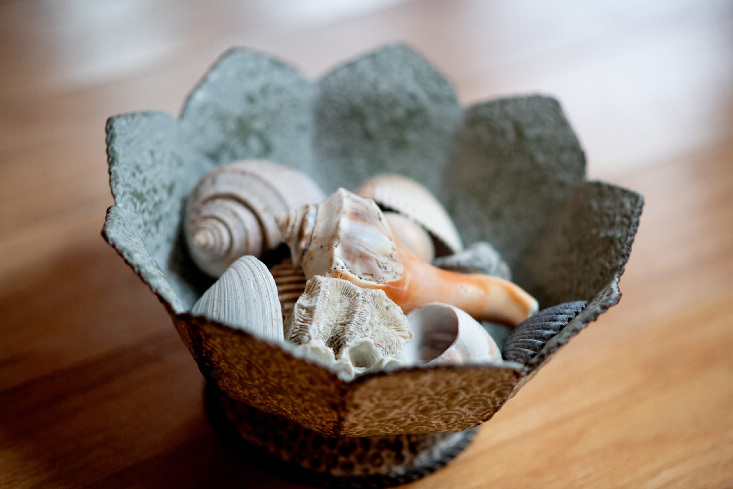 Sandpiper highlight 3